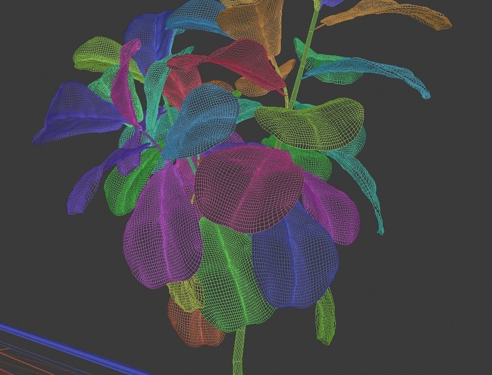 Ficus Lyrata- Fiddle Leaf Fig Plant 3D model_10