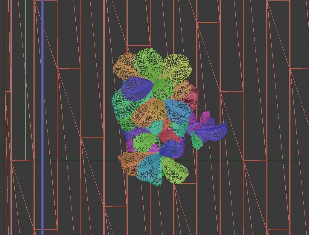 Ficus Lyrata- Fiddle Leaf Fig Plant 3D model_12