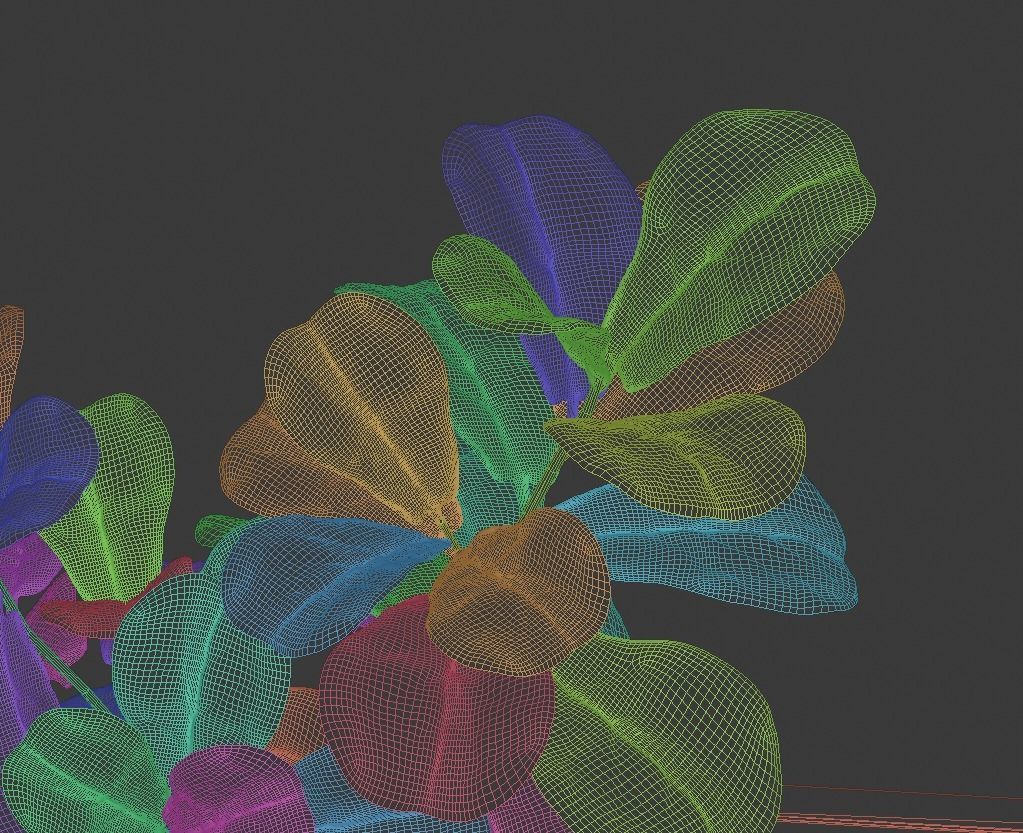 Ficus Lyrata- Fiddle Leaf Fig Plant 3D model_9