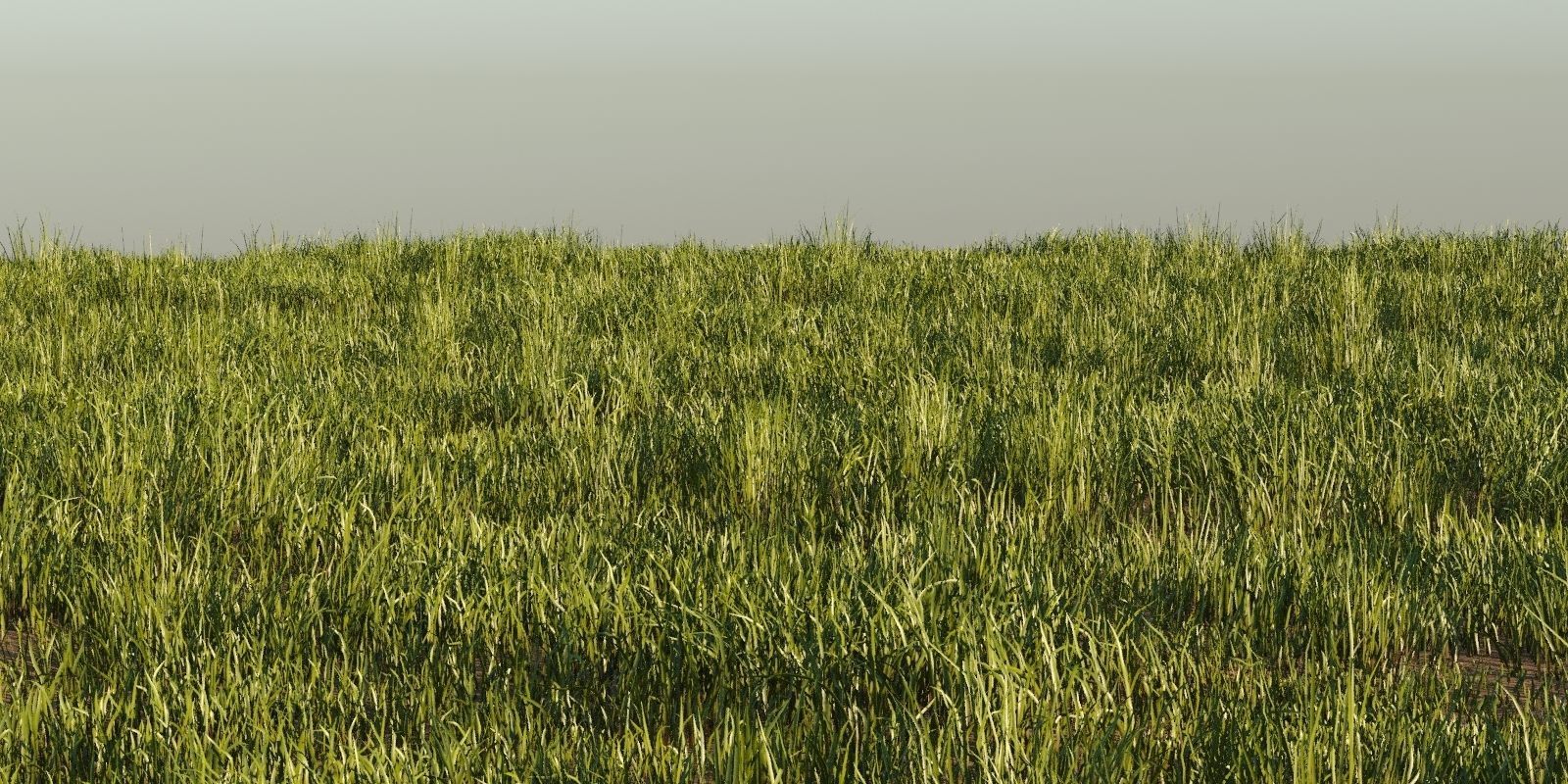 Photorealistic Animated Grass Pack 3D model_4