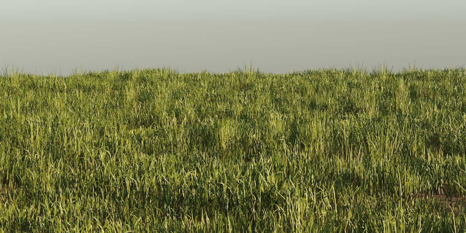 Photorealistic Animated Grass Pack 3D model_7