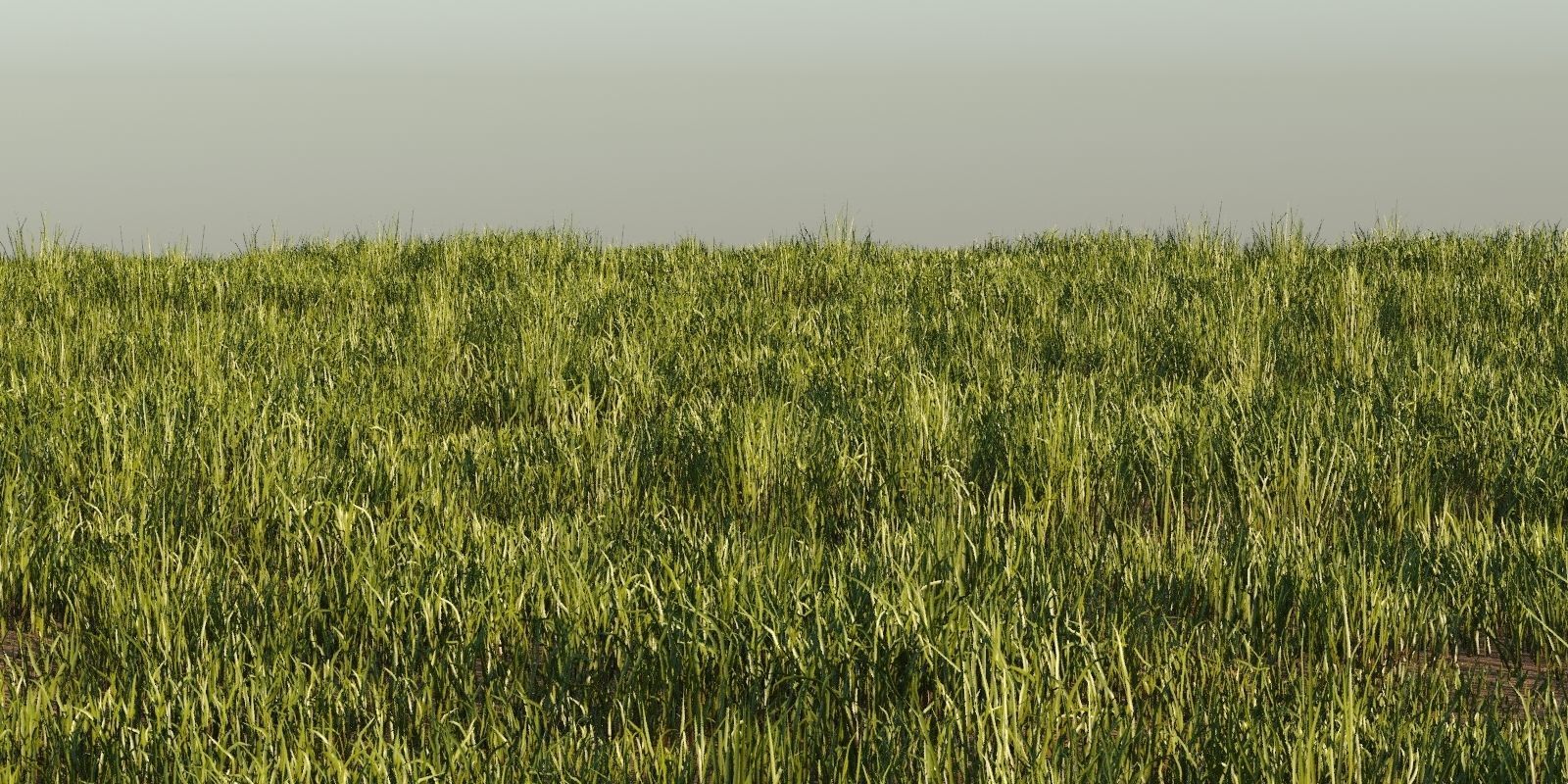 Photorealistic Animated Grass Pack 3D model_5