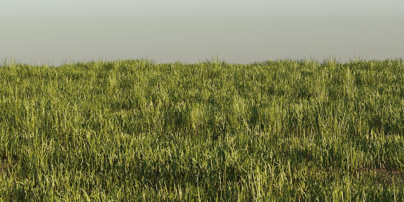 Photorealistic Animated Grass Pack 3D model_6