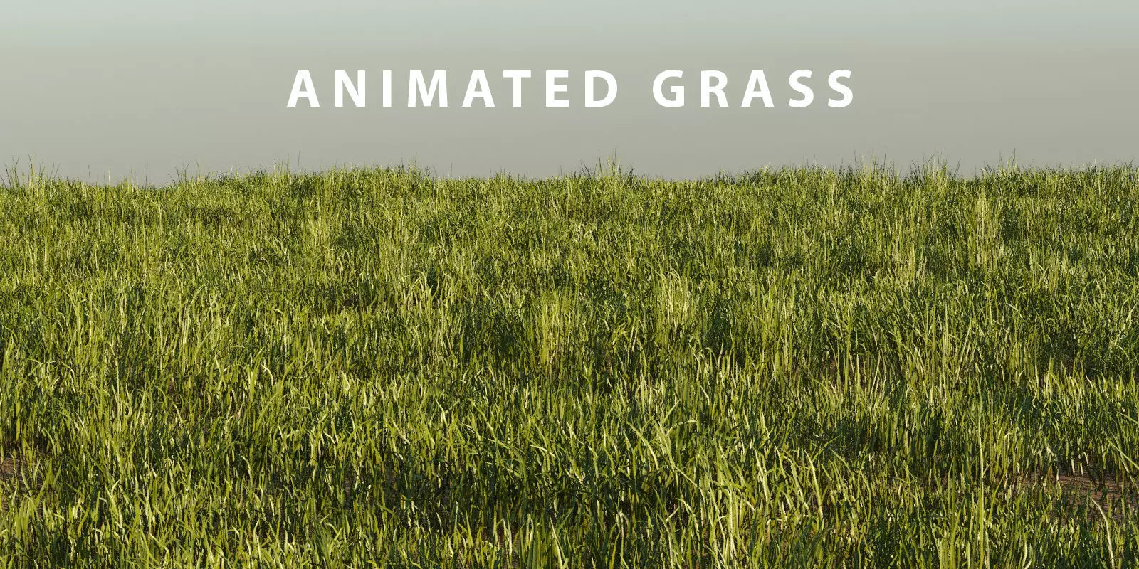 Photorealistic Animated Grass Pack 3D model_0