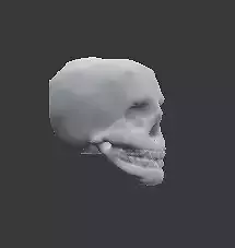  different colored skulls