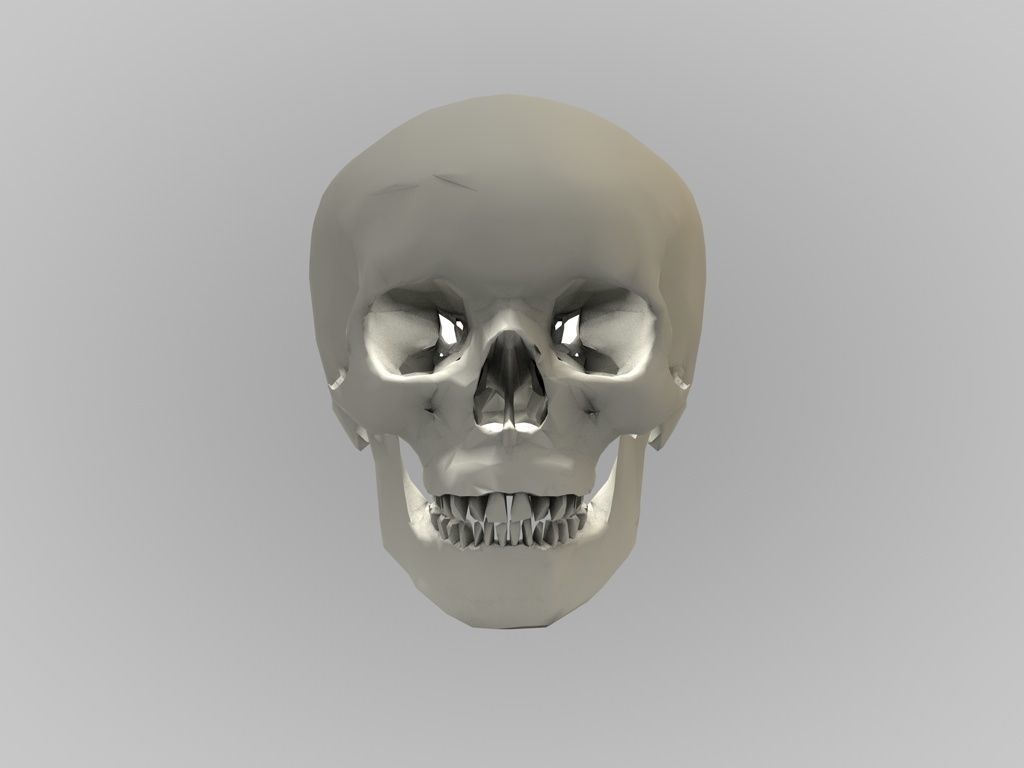 low poly Skull Free 3D model_4