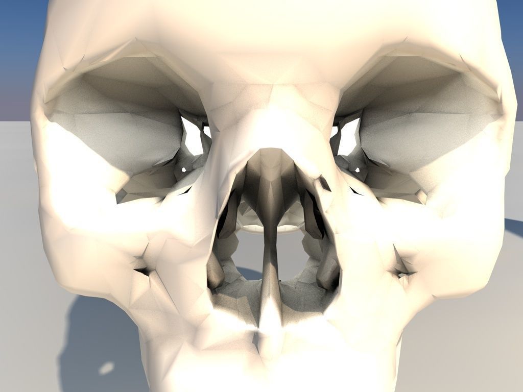 low poly Skull Free 3D model_5
