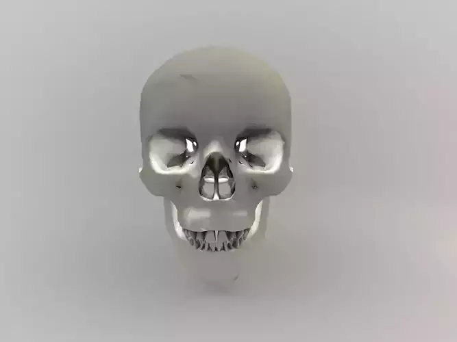low poly Skull