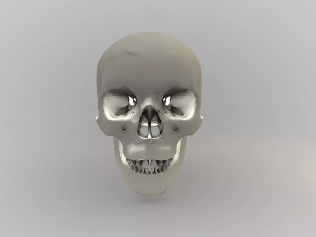 low poly Skull Free 3D model_0