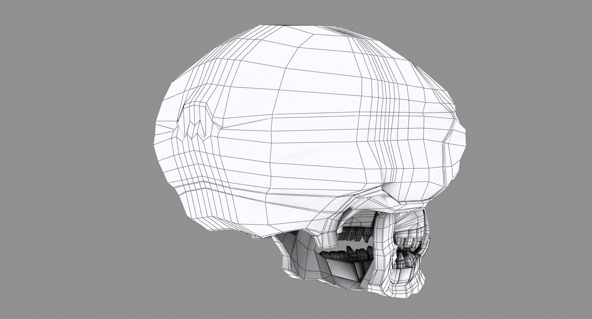 Skull human 3D model_14