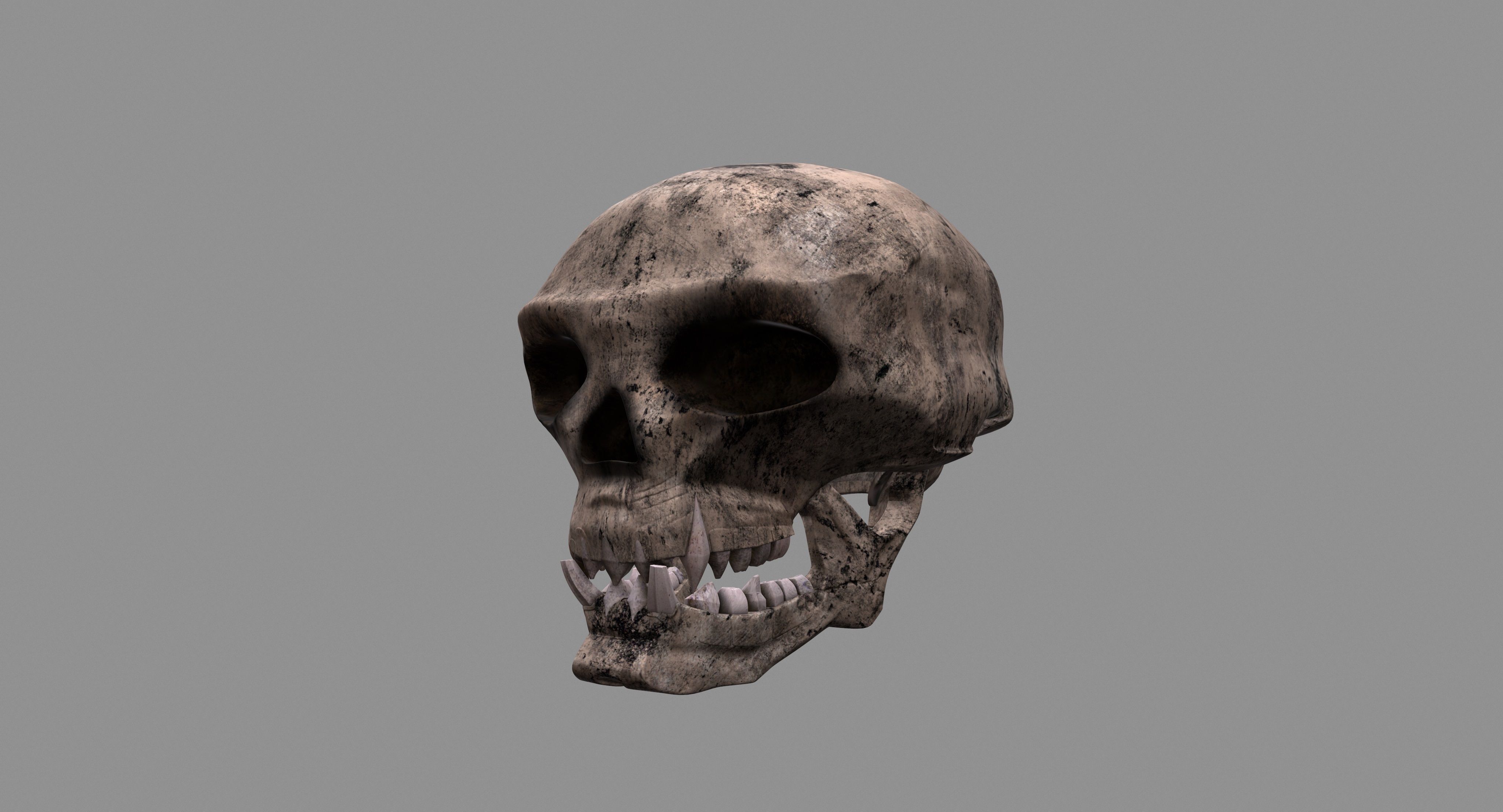 Skull human 3D model_9