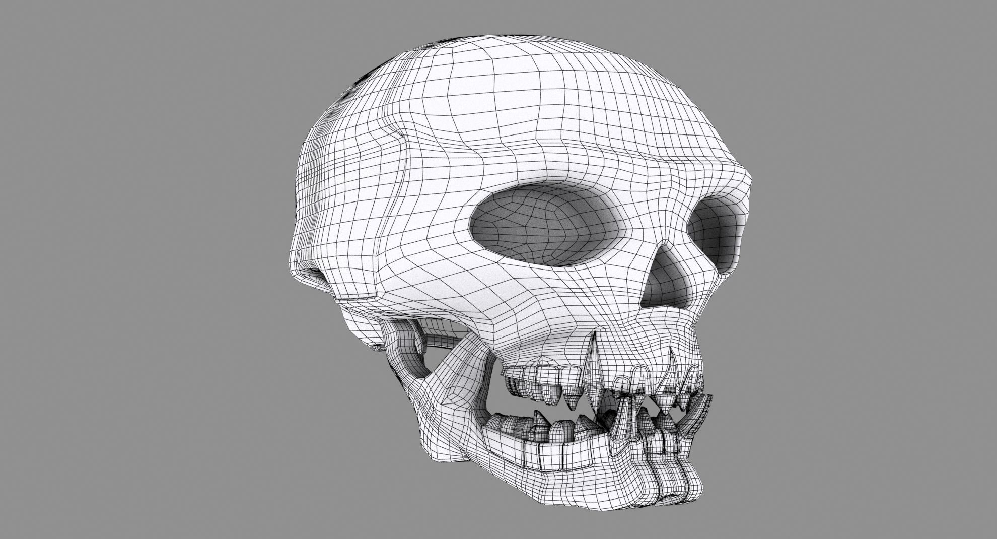 Skull human 3D model_12