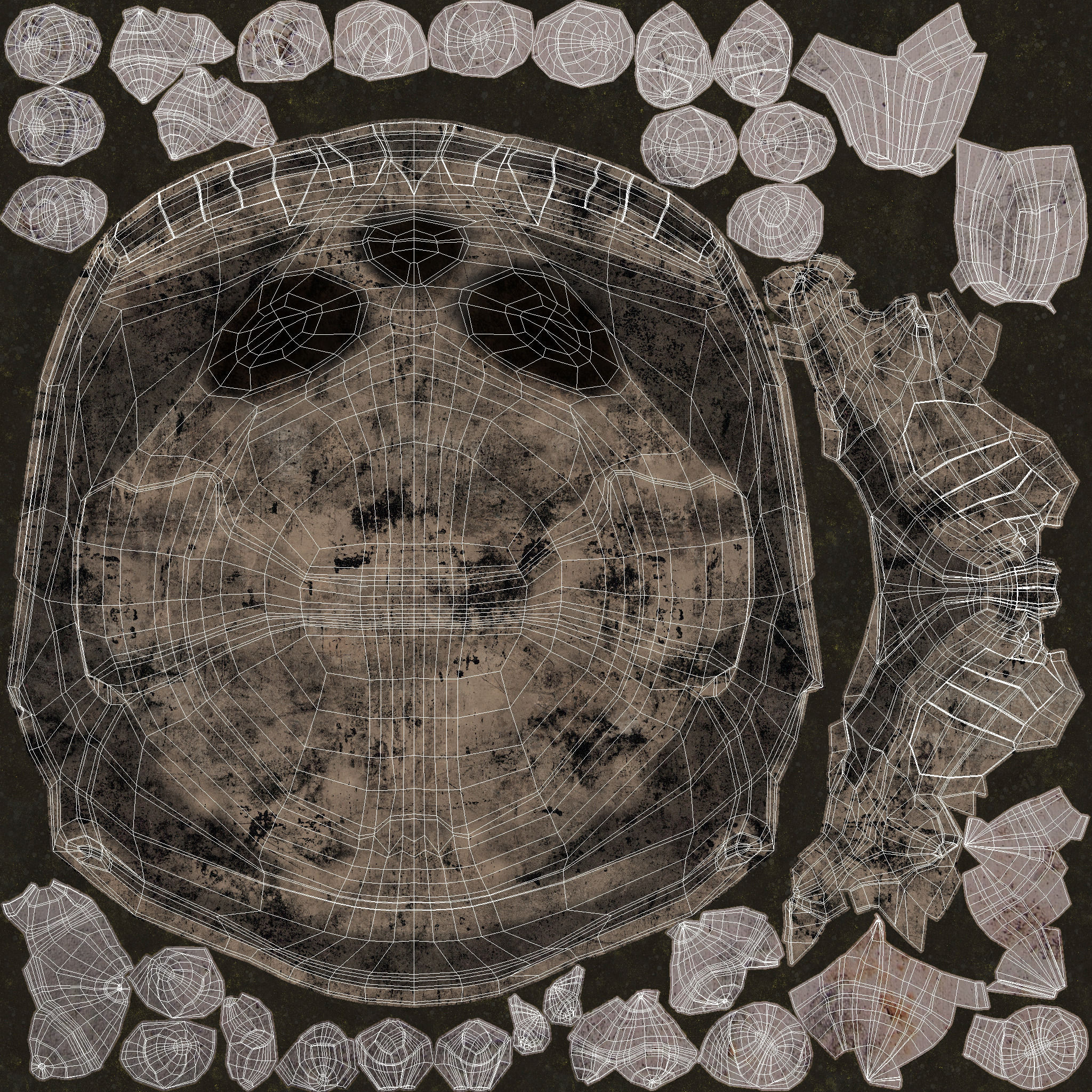 Skull human 3D model_17