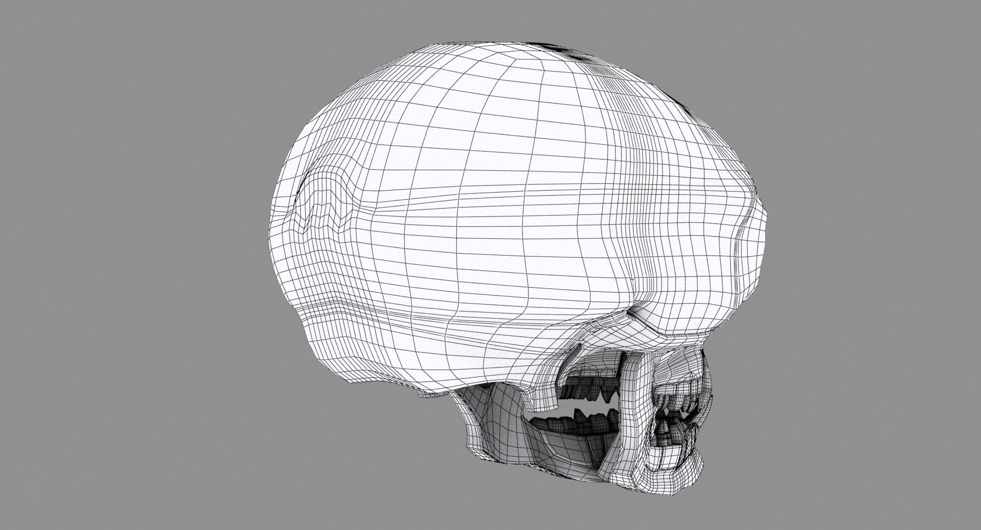 Skull human 3D model_13