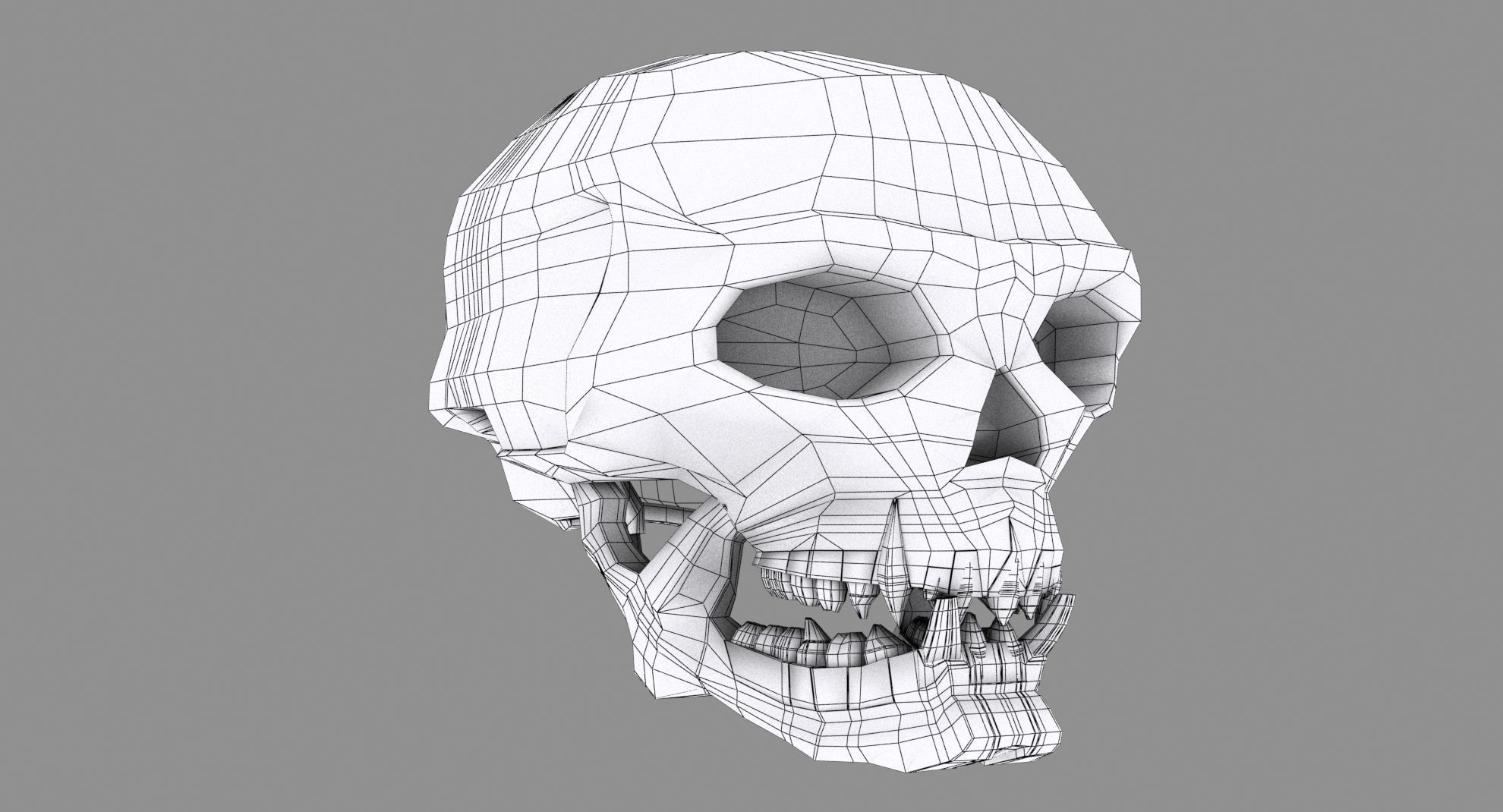 Skull human 3D model_11