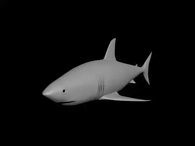  sea shark 