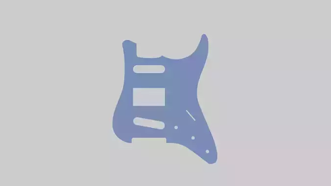 pickguard per chitarra  mod ST S-H-S 3D print model 3D print model