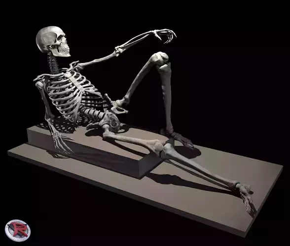 Male and Female Skeleton poseable 3D print model