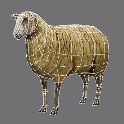 sheep Low-poly 3D model_3
