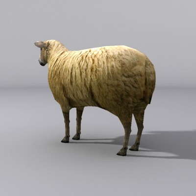 sheep Low-poly 3D model_2