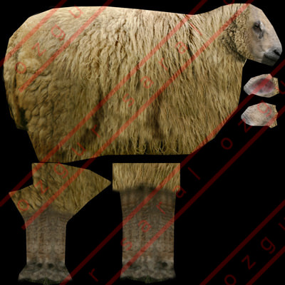 sheep Low-poly 3D model_4