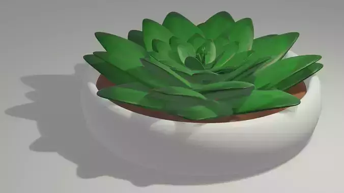 Pianta Grassa - 3D model