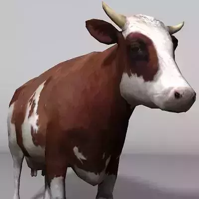 animal cow 