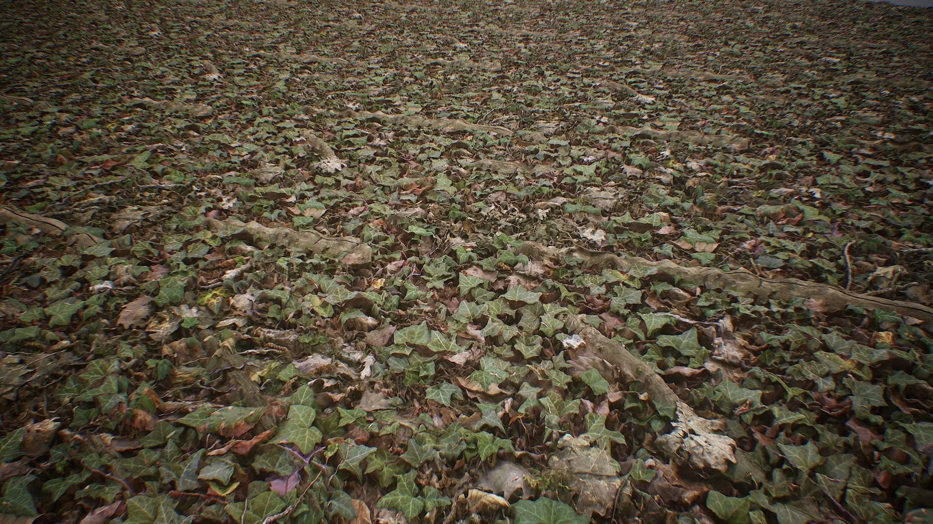 Ultimate Texture Library - Forest Texture_7