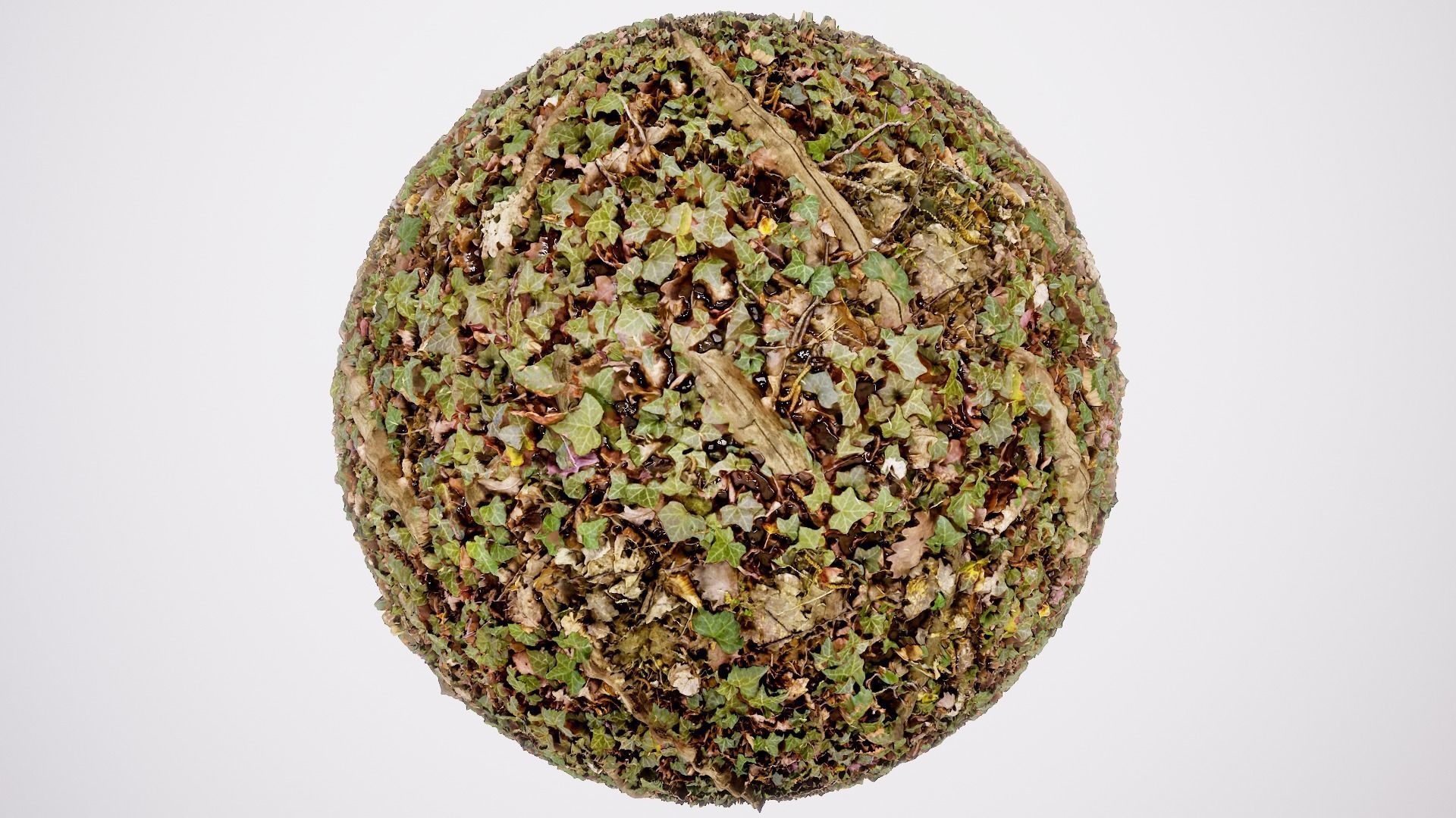 Ultimate Texture Library - Forest Texture_3