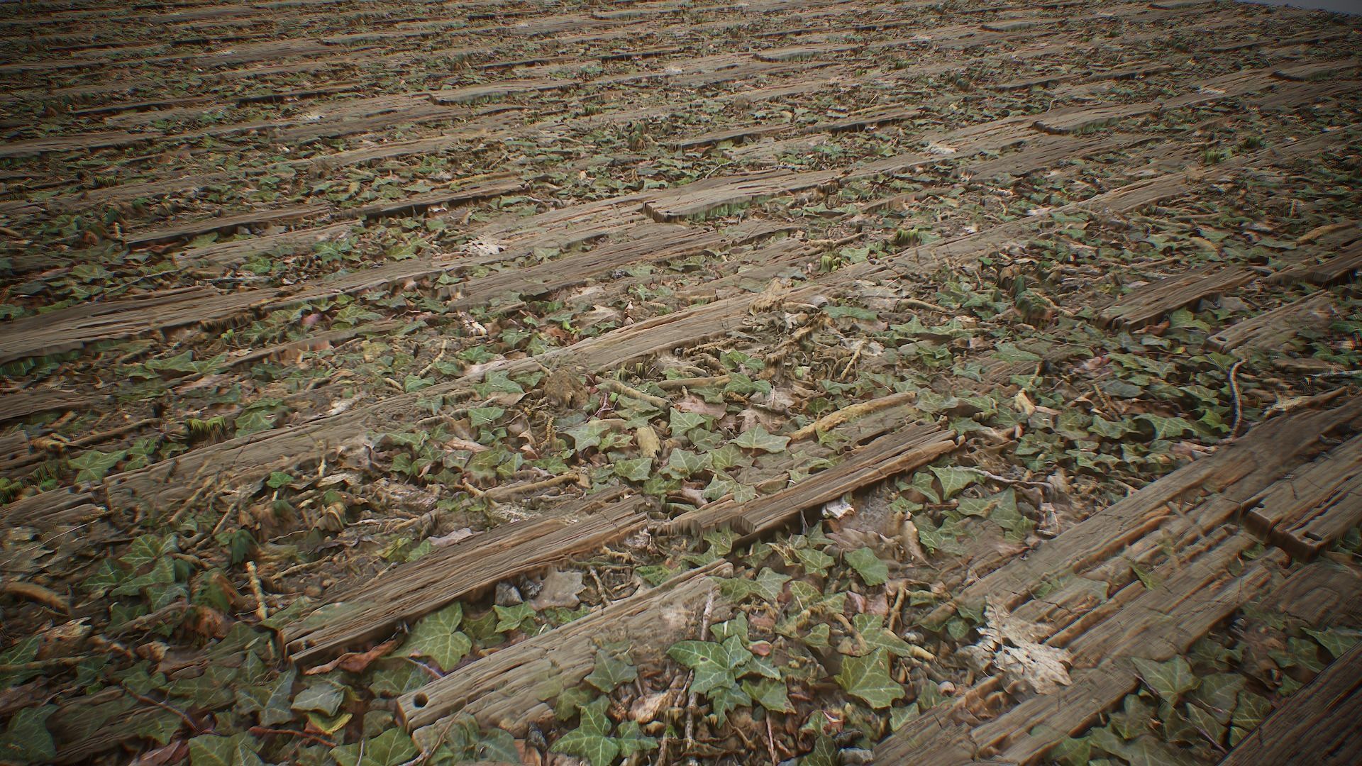 Ultimate Texture Library - Forest Texture_9