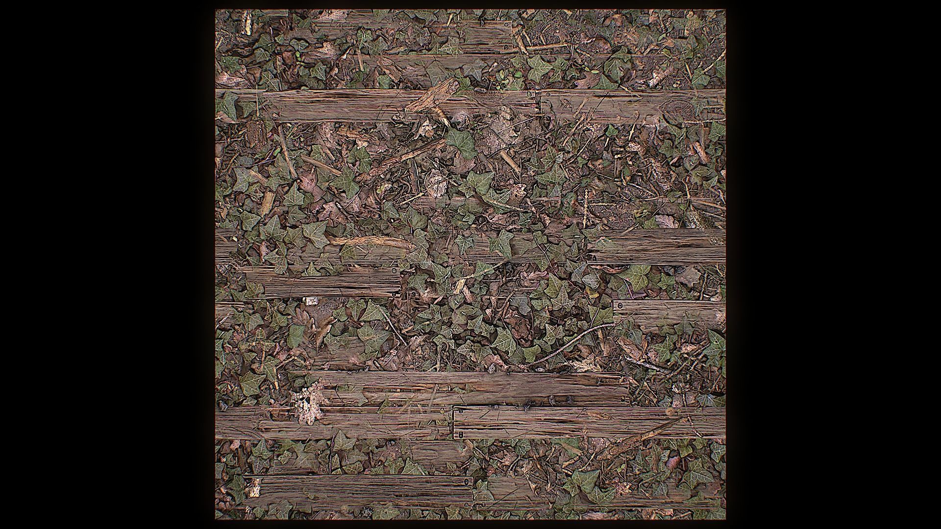 Ultimate Texture Library - Forest Texture_14