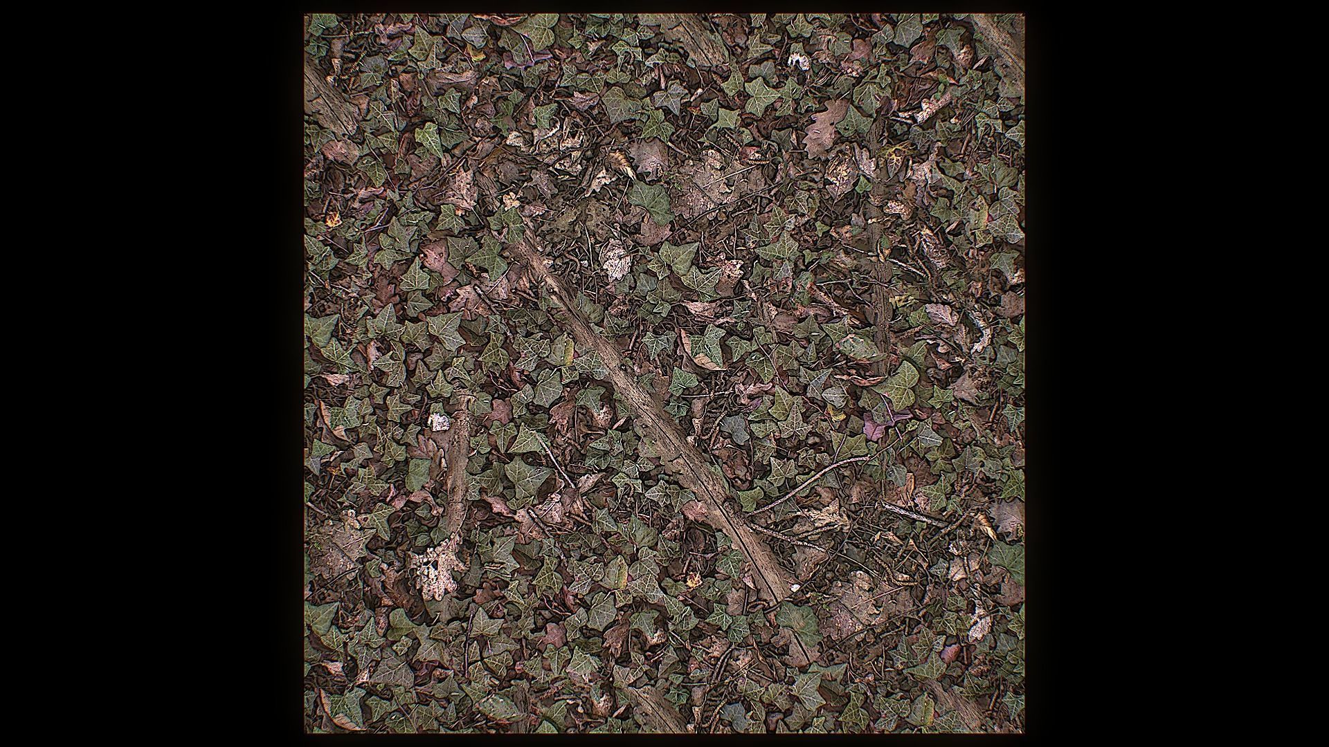 Ultimate Texture Library - Forest Texture_11