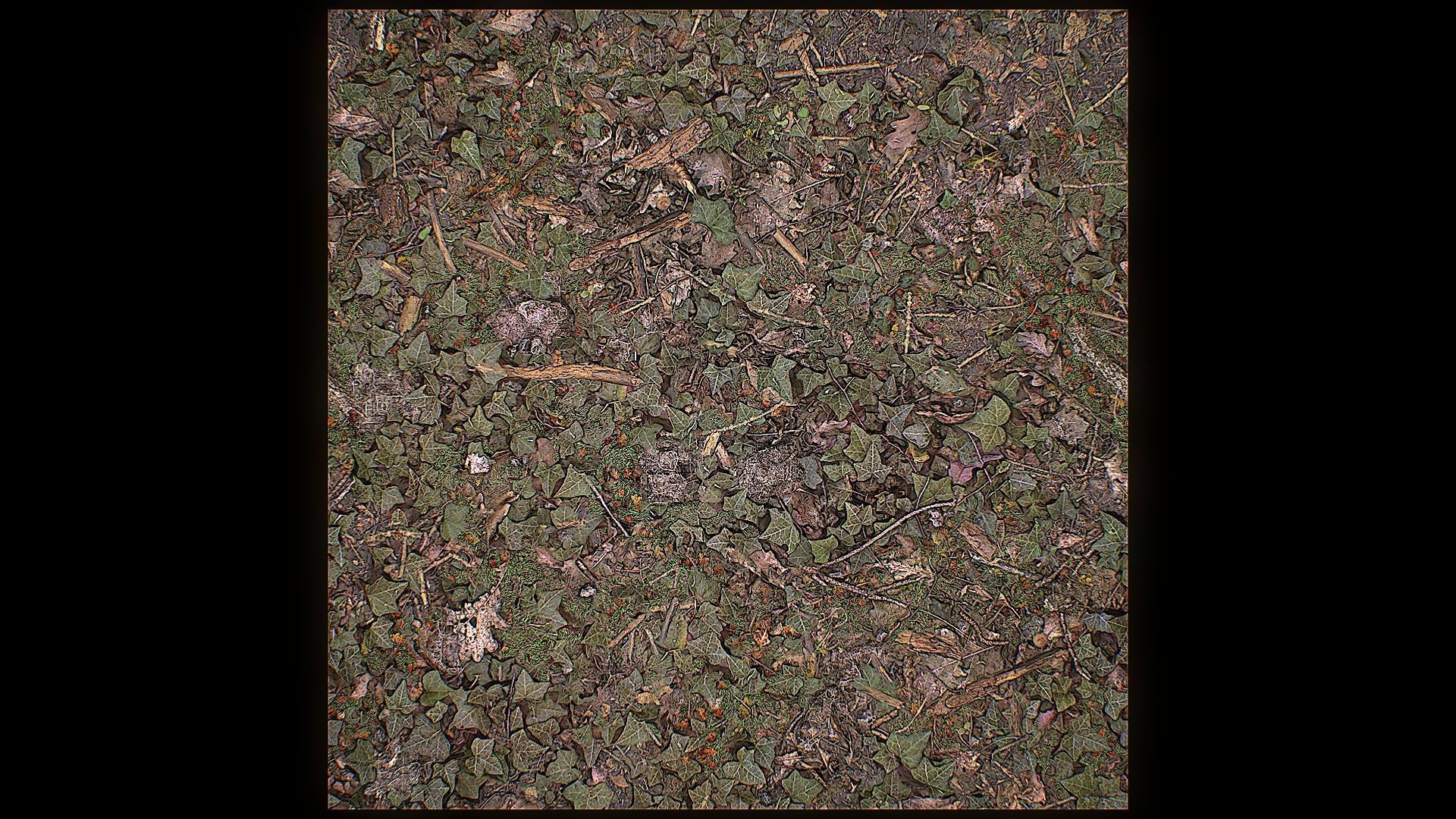 Ultimate Texture Library - Forest Texture_12