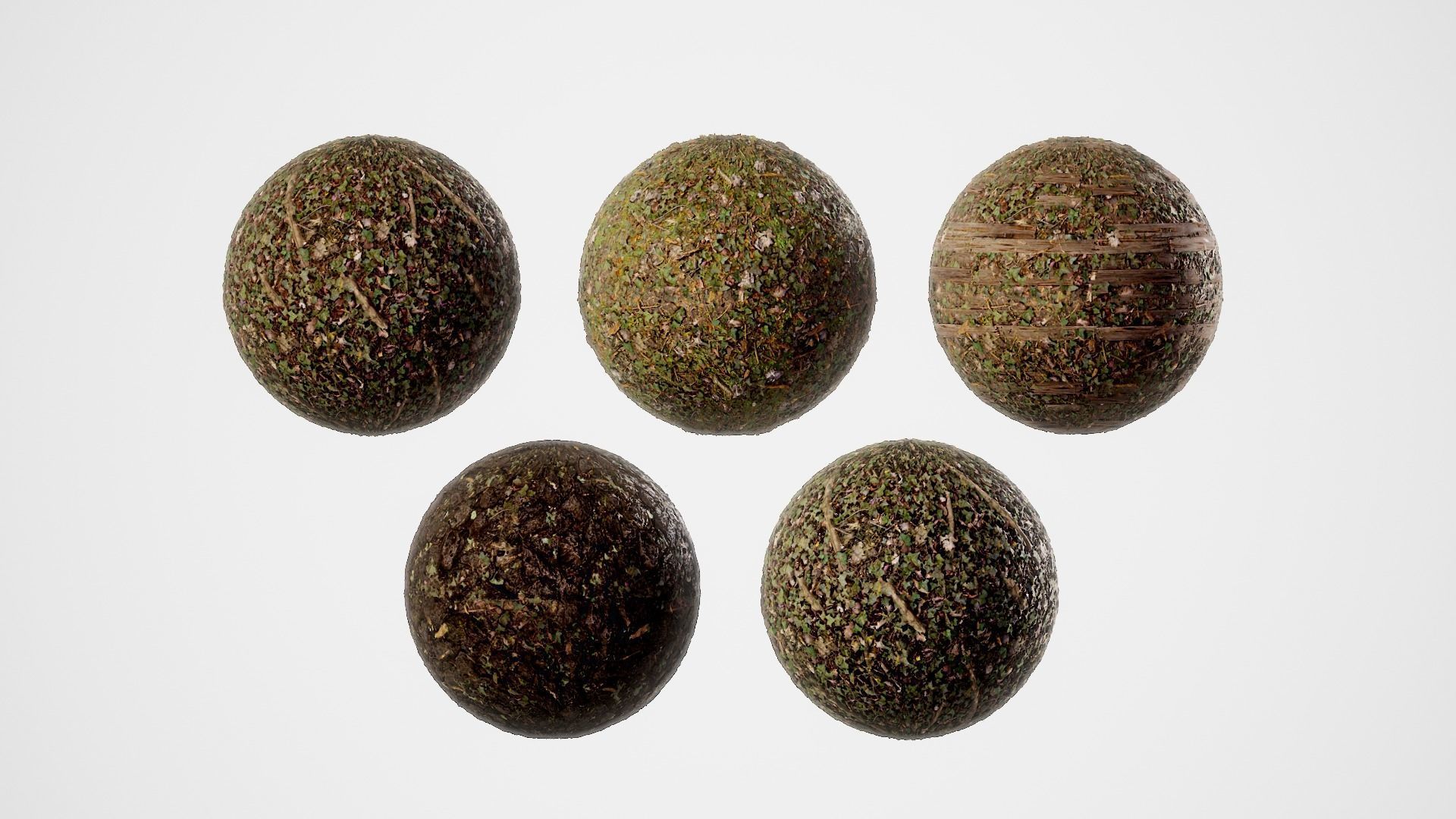 Ultimate Texture Library - Forest Texture_16