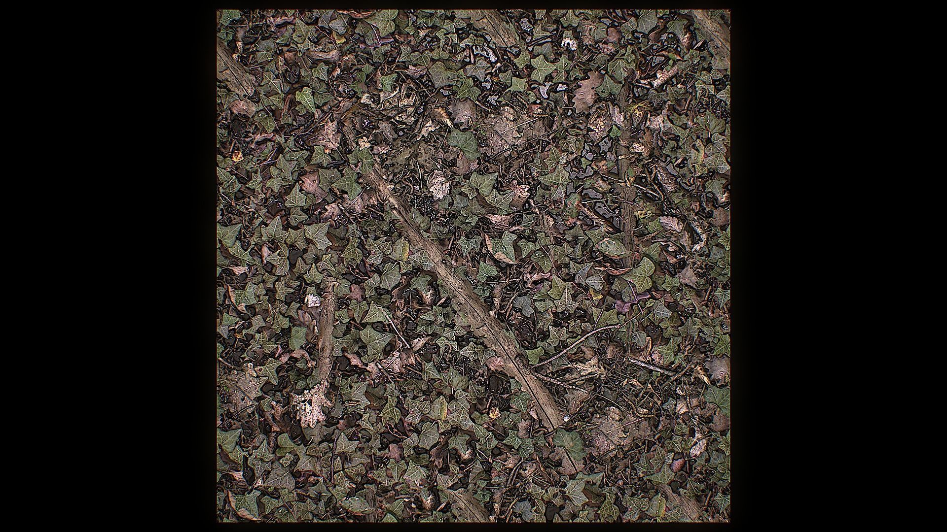 Ultimate Texture Library - Forest Texture_15