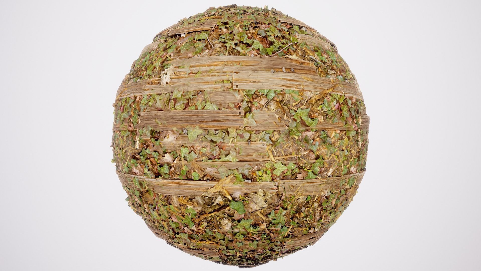 Ultimate Texture Library - Forest Texture_2