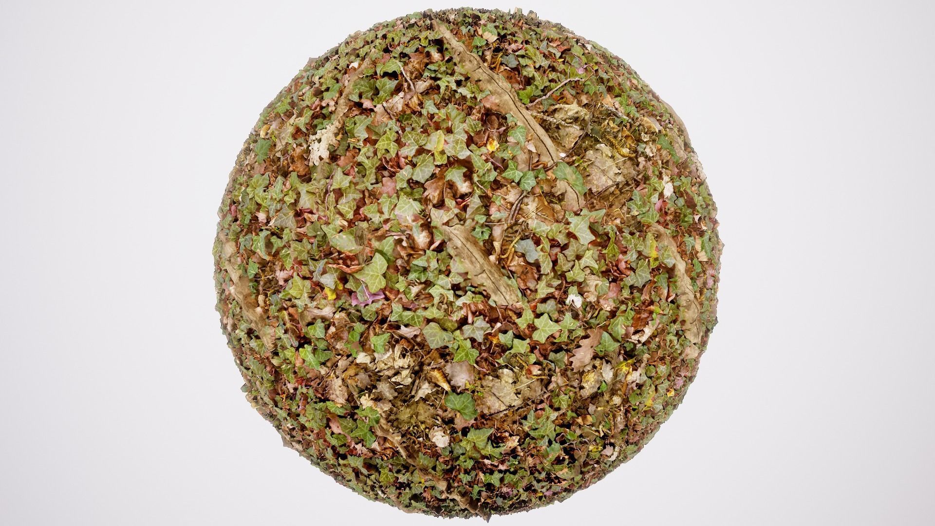 Ultimate Texture Library - Forest Texture_1