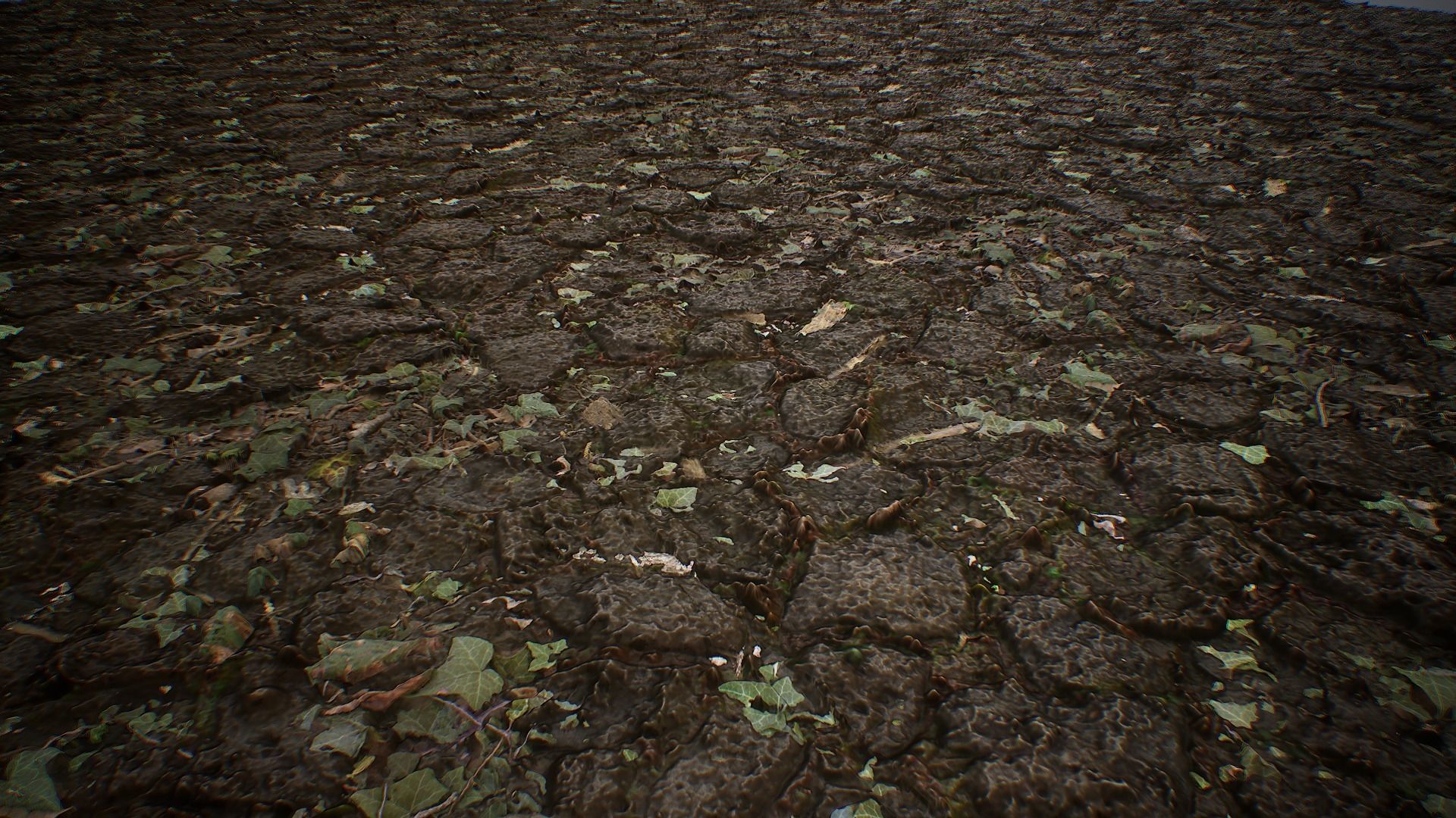 Ultimate Texture Library - Forest Texture_8