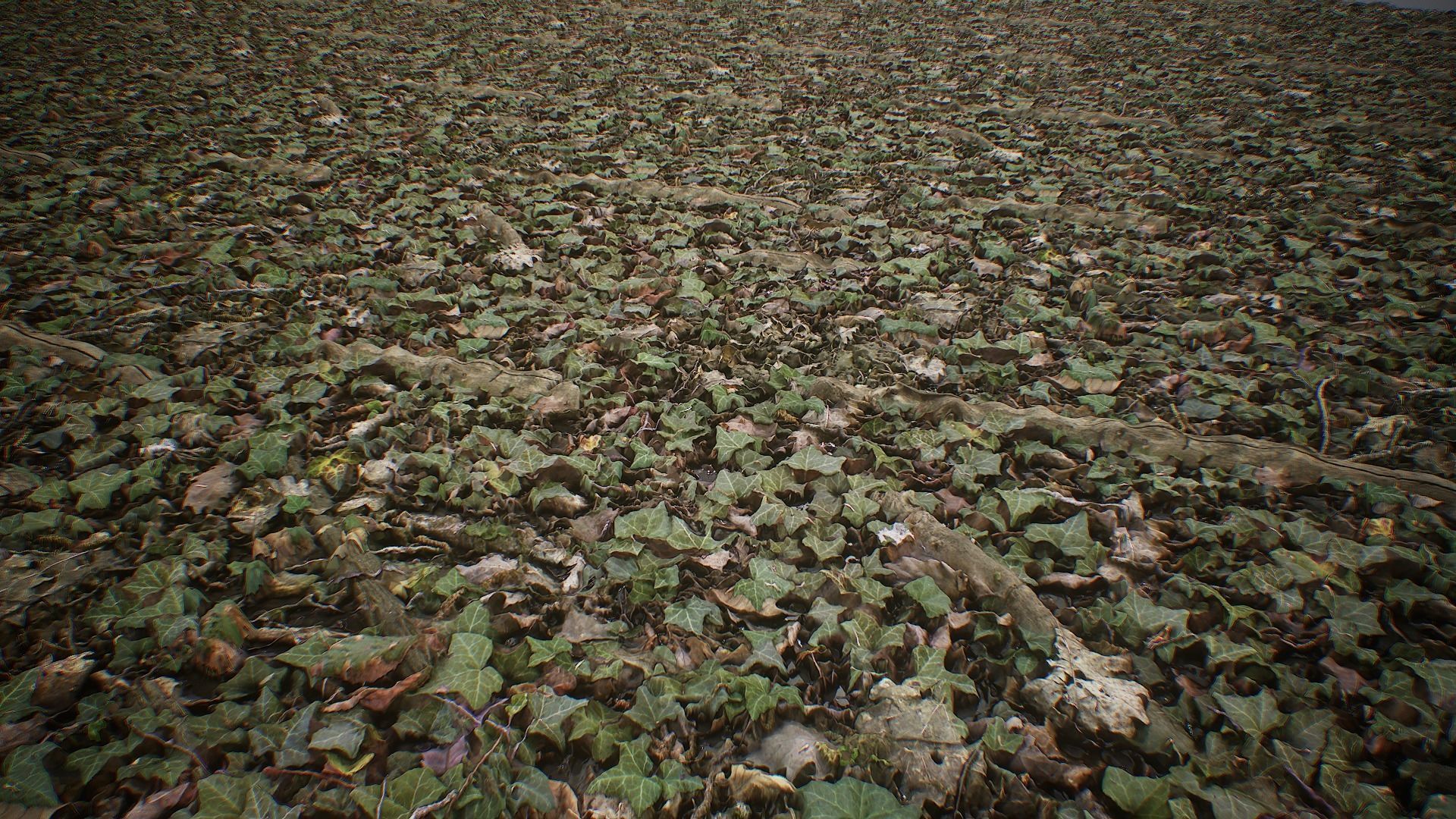 Ultimate Texture Library - Forest Texture_10