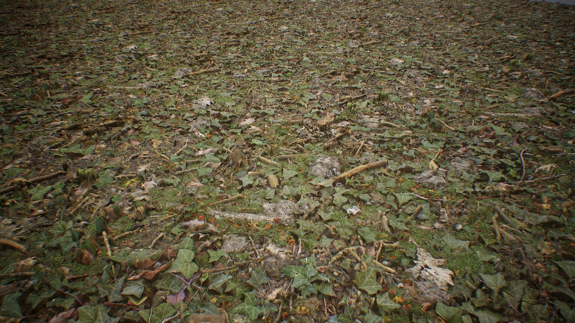 Ultimate Texture Library - Forest Texture_6