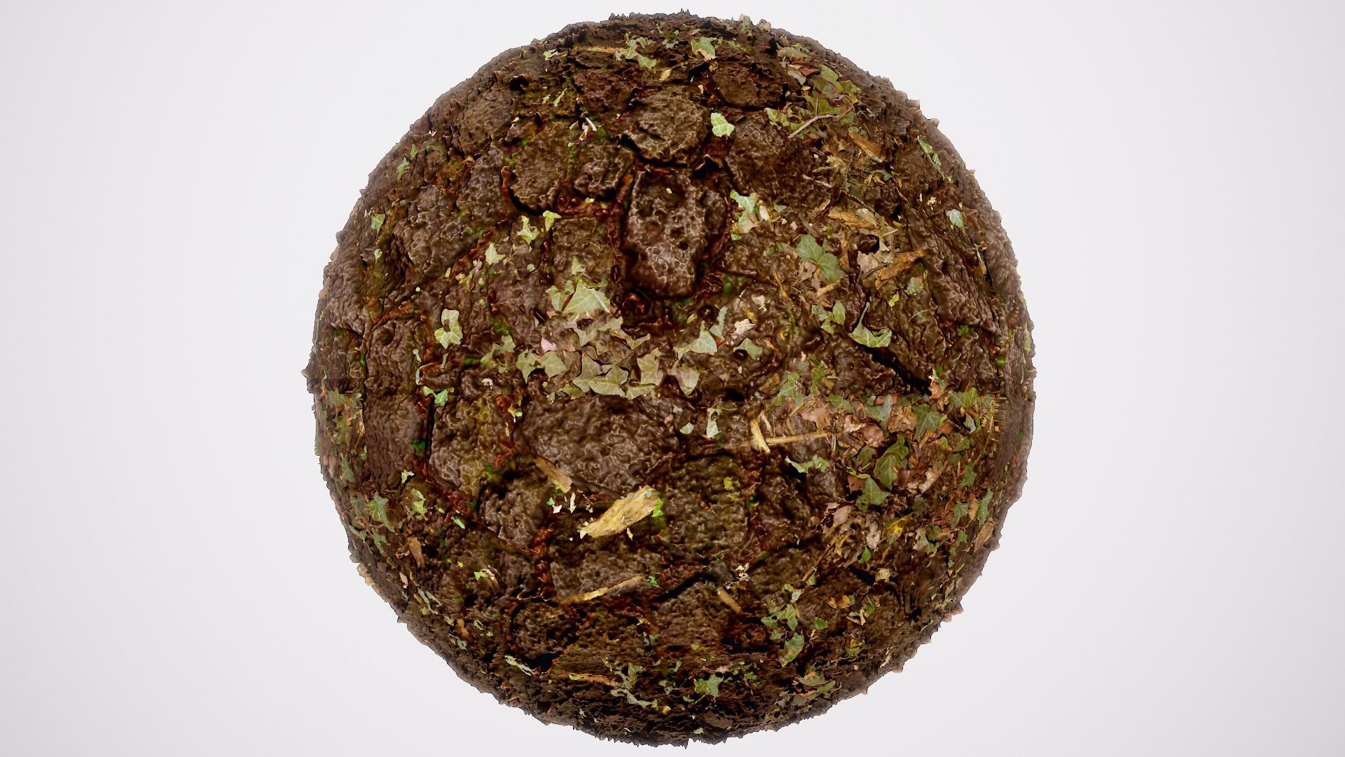 Ultimate Texture Library - Forest Texture_4