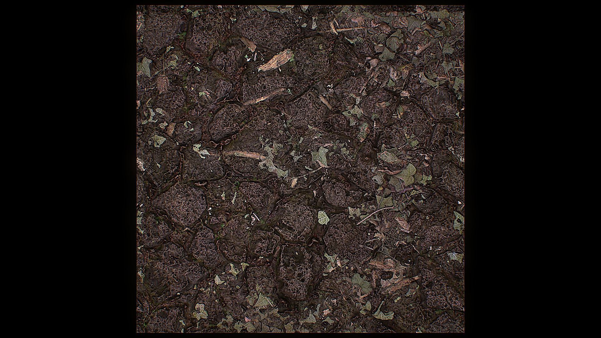 Ultimate Texture Library - Forest Texture_13