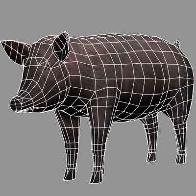 Animal Pig Low-poly 3D model_4