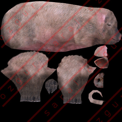 Animal Pig Low-poly 3D model_6