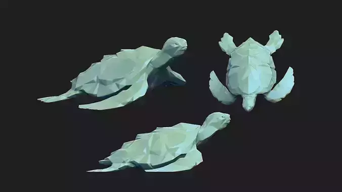 turtle triangle