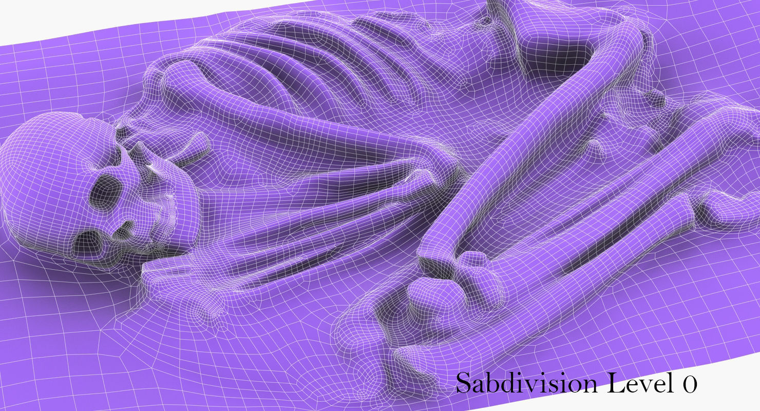 Real humen sceleton Low-poly 3D model_9