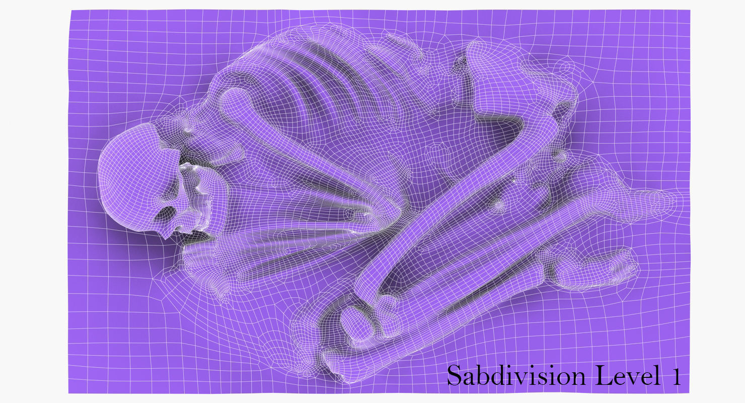 Real humen sceleton Low-poly 3D model_8