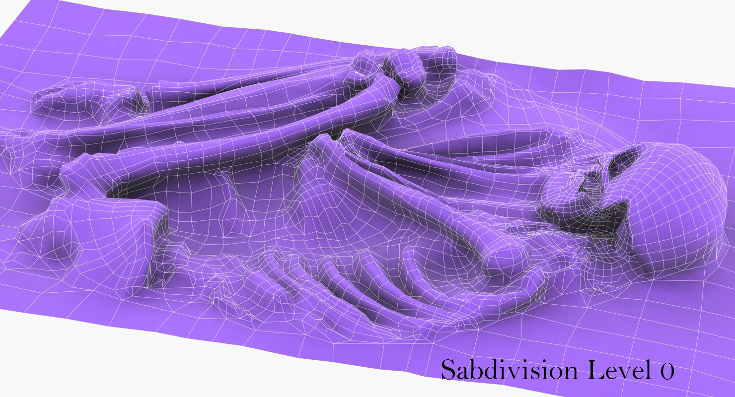 Real humen sceleton Low-poly 3D model_11