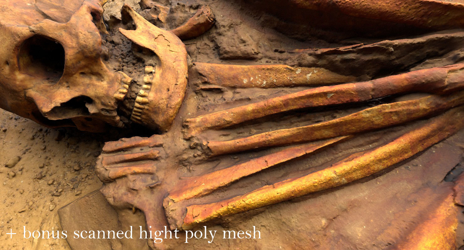 Real humen sceleton Low-poly 3D model_26