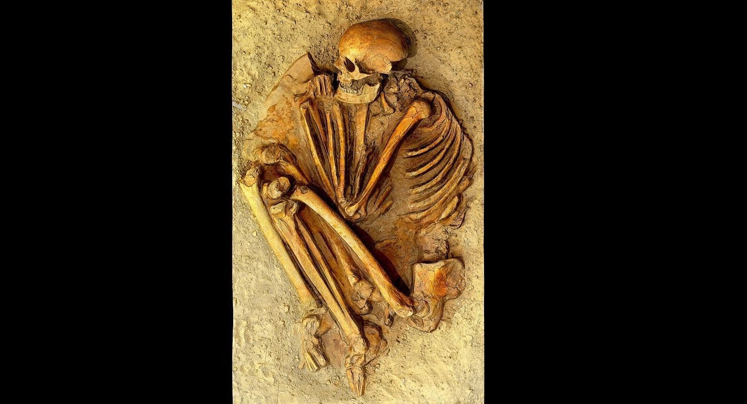 Real humen sceleton Low-poly 3D model_13